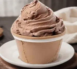 Home Made Chocolate Ice Cream